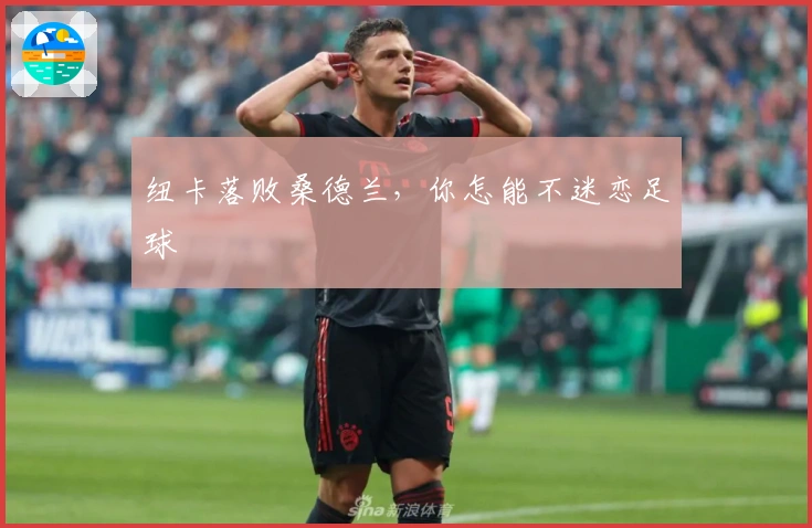 纽卡落败桑德兰,你怎能不迷恋足球