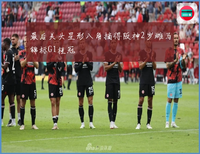 最后关头星形八角摘得阪神2岁雌马锦标G1桂冠