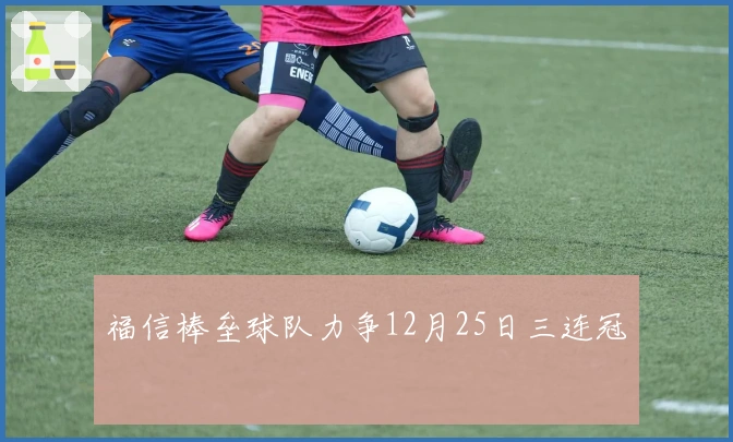 福信棒垒球队力争12月25日三连冠